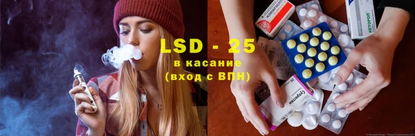 PSILOCYBIN Аркадак