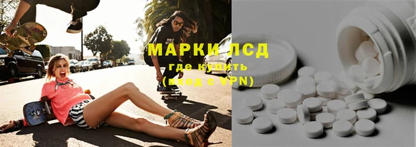 PSILOCYBIN Аркадак