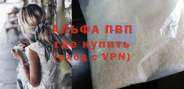 PSILOCYBIN Аркадак