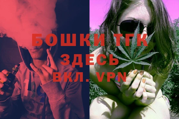 PSILOCYBIN Аркадак