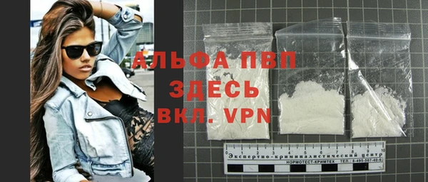 PSILOCYBIN Аркадак