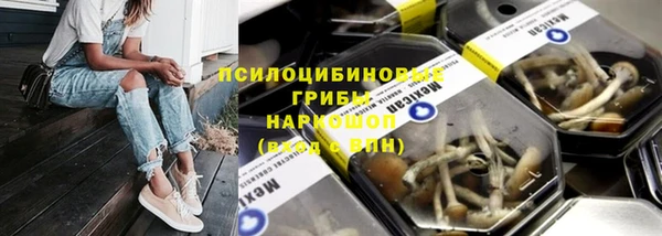 прущие крисы Армянск