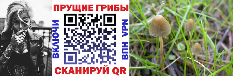 Галлюциногенные грибы мухоморы  закладки  Тырныауз 